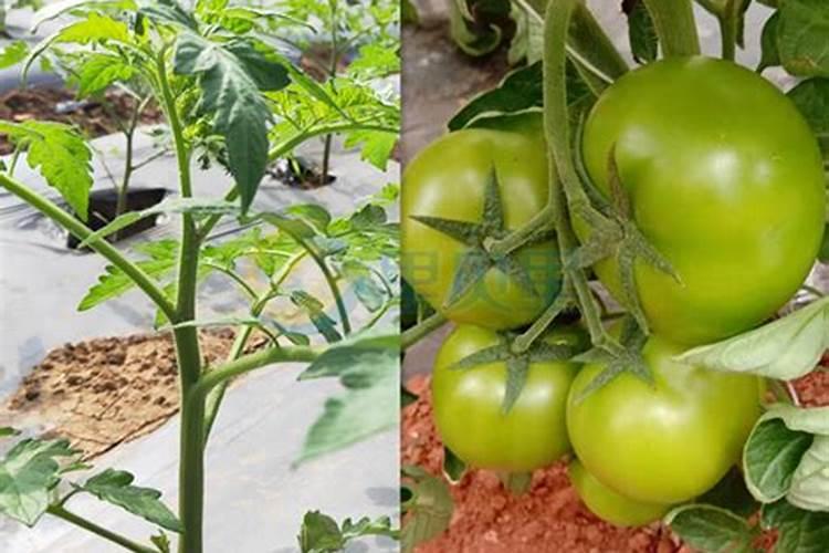 各个交易所交易时间