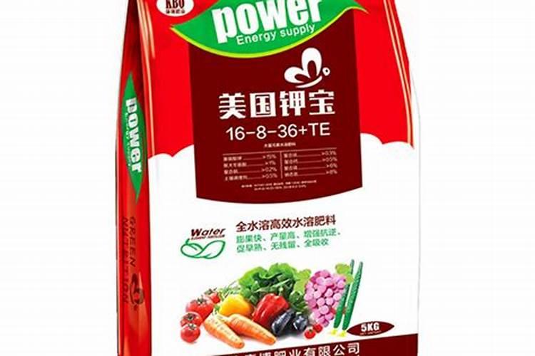 月季春季如何施肥