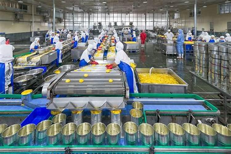 橘子施什么肥最好