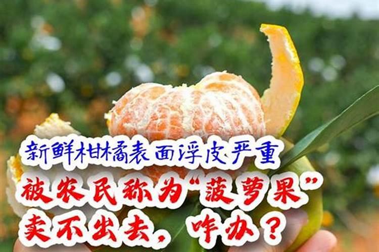 砂糖橘果实小的原因是什么 砂糖橘怎么样管理果实才均匀