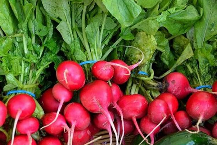 请问红萝卜追施什么肥料好