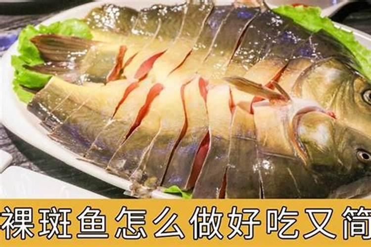 鲍鱼的蛋白质高吗？