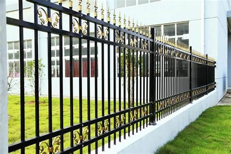 第一年栽种的葡萄苗发芽后怎样施肥