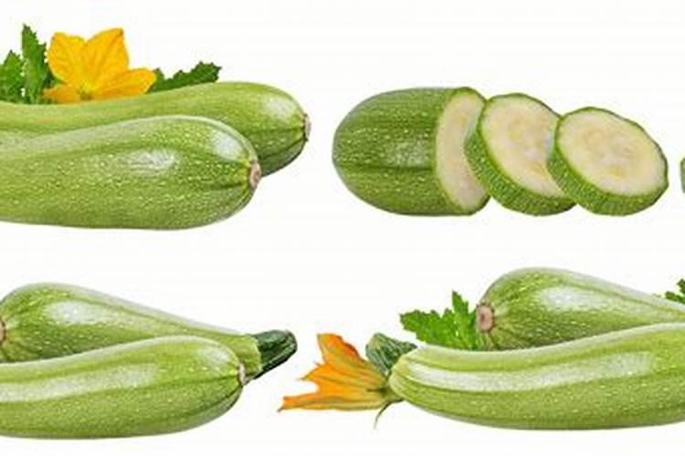 室内植物用什么肥料