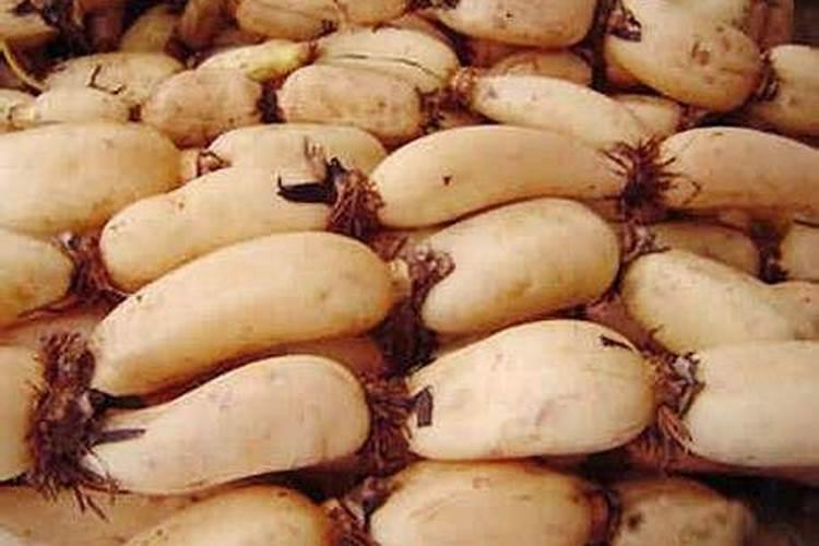 育苗基质的主要原料是什么和什么