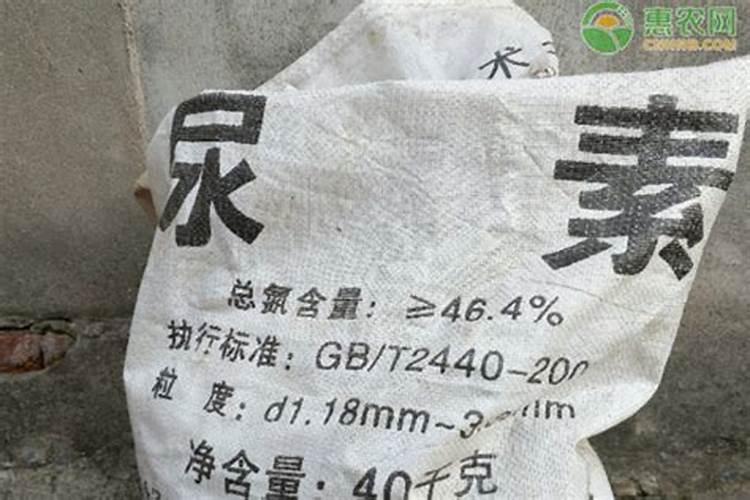 尿素撒在地上多久挥发？