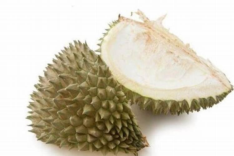 控释肥适合什么花