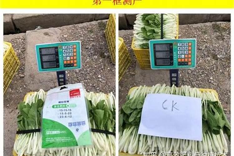 阳台种菜施肥要怎么做呢？可以参考哪些书籍学习一下？