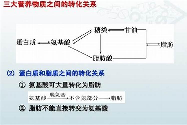 蛋清可以浇花吗？