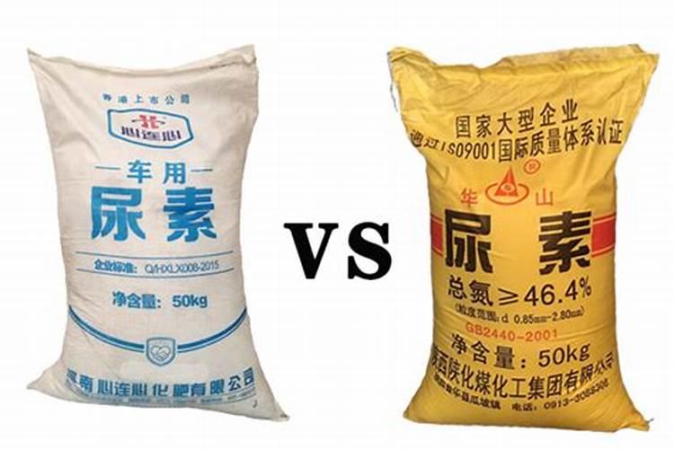 桂花树十月份能移栽活吗