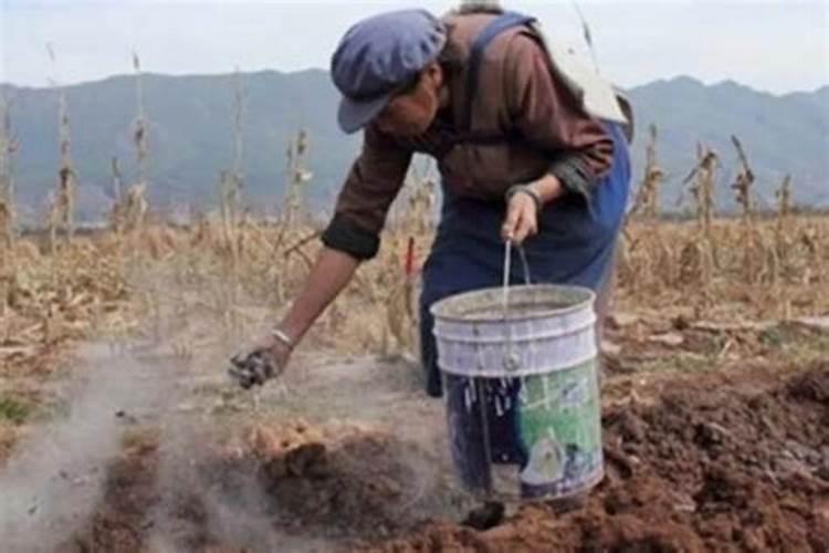 渔粉和鱼粉有什么区别