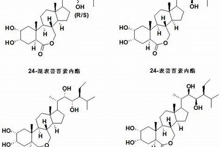 如何区分芸苔素内酯？