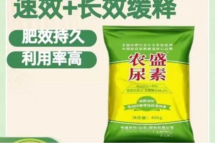 君子兰能用红酒来作为肥料施用吗？