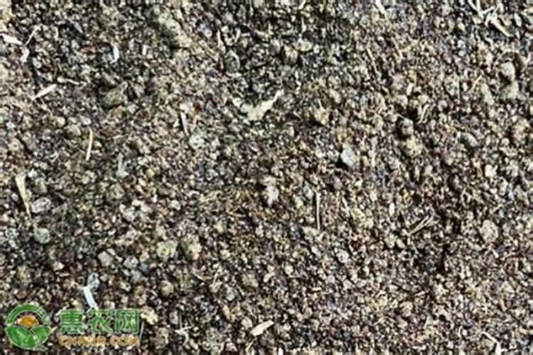 茶叶施磷肥选什么肥