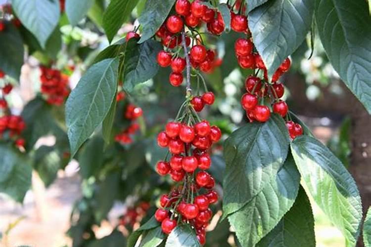 咸阳有哪些国企