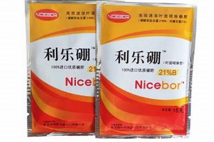 杜鹃花换盆用什么底肥