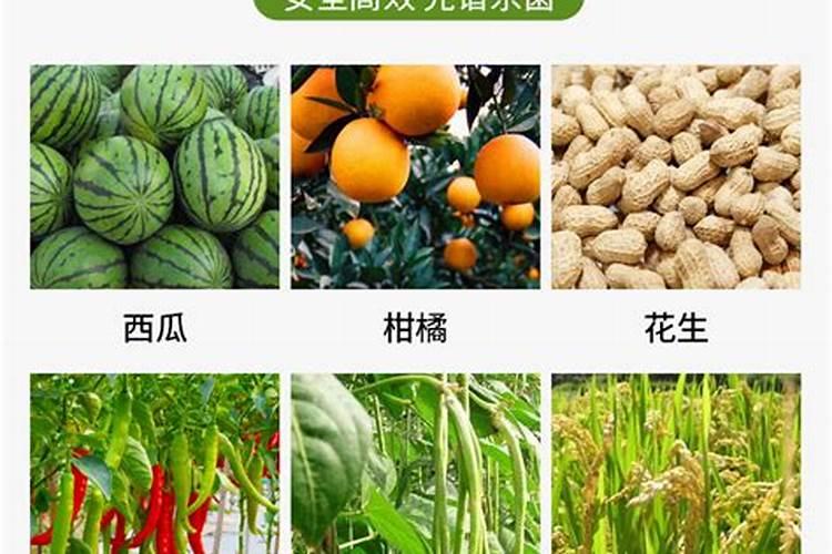 莲藕施肥方法和施几次肥