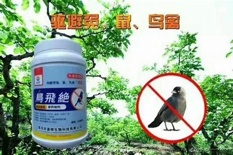 玉米专用叶面肥什么牌子好