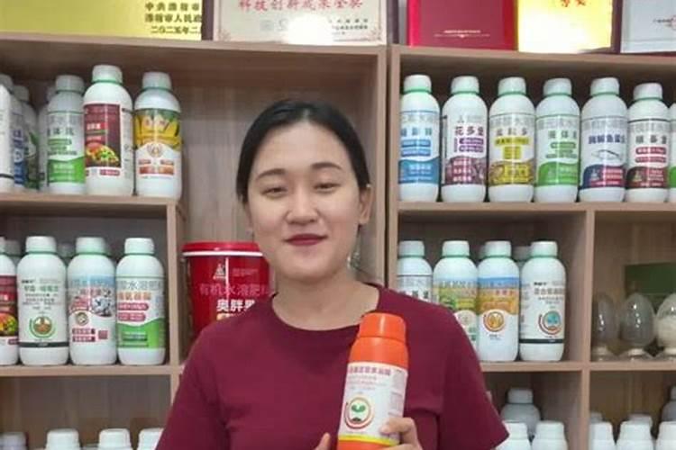 花生用芸苔素锌绷二氢钾控旺高度多少为好