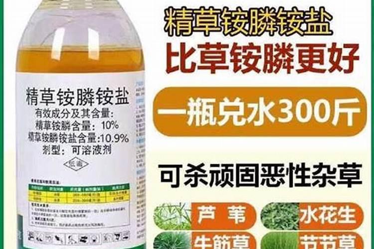除草时为什么要往除草剂里添加尿素？