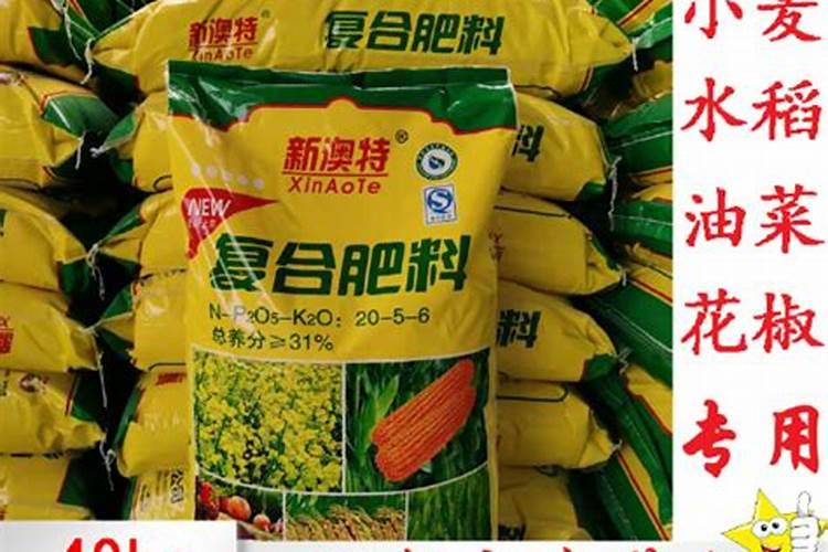玉米种肥施什么肥好