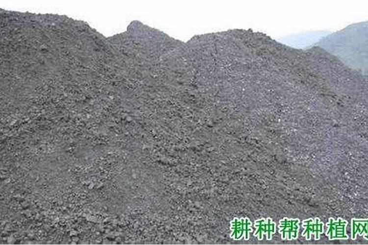 一叶兰施什么肥好