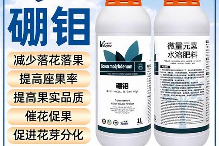 陕西秦岭化肥总厂武功分厂怎么样？