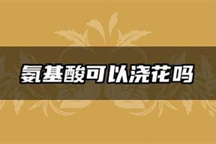 叶面喷施用氨基酸水溶肥好海绿素哪个好