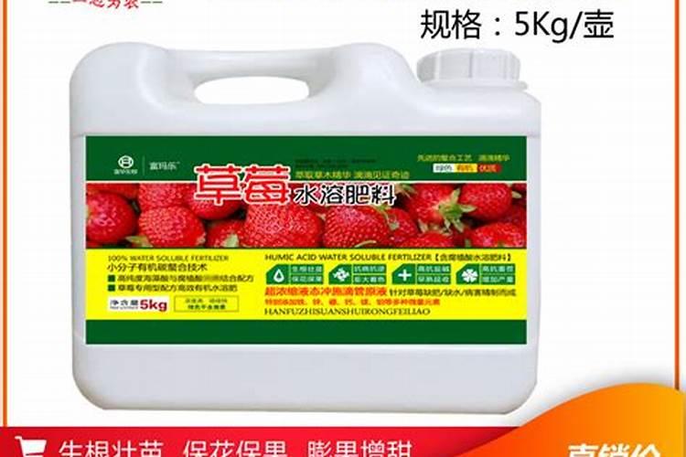 草莓结果期追施用什么肥料？草莓挂果期用什么叶面肥效果好？