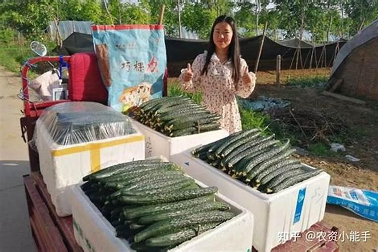 沙糖桔我们还能放心去吃吗？