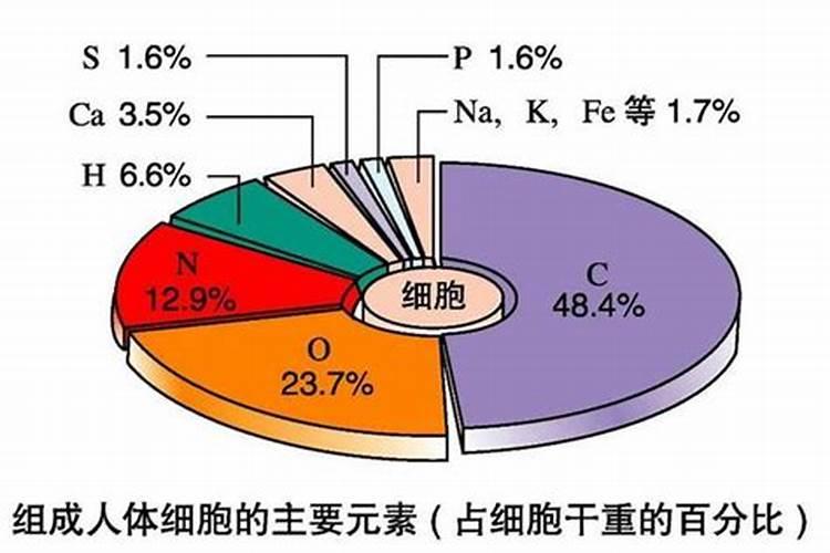 组成玉米的基本元素是什么