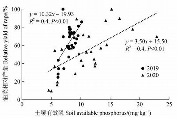 种植高粱怎么施肥