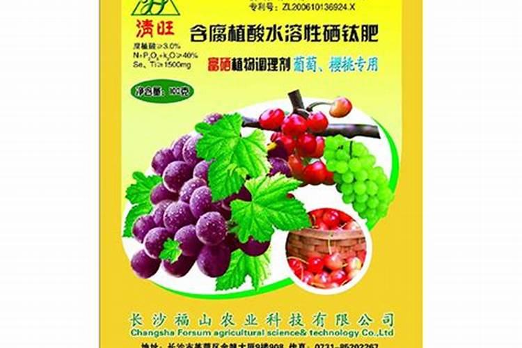 樱桃提升含糖量的三大要点分析