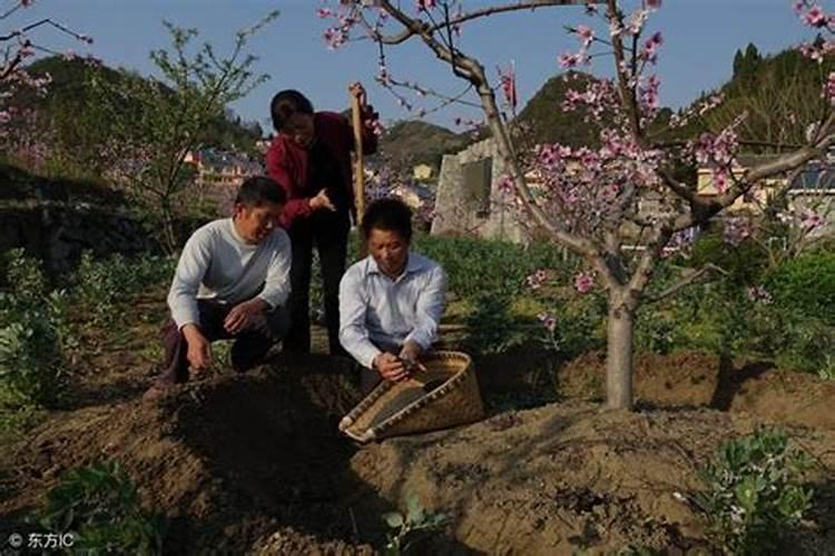 花施氮磷钾肥使用方法