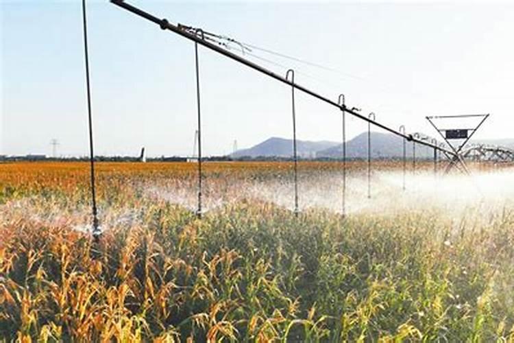 什么冲施肥对果实膨大最快