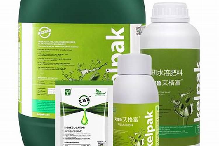 黄杨肥害的防治方法