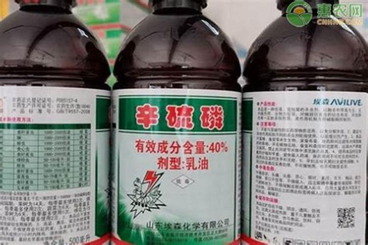 玉米苗期喷什么叶面肥