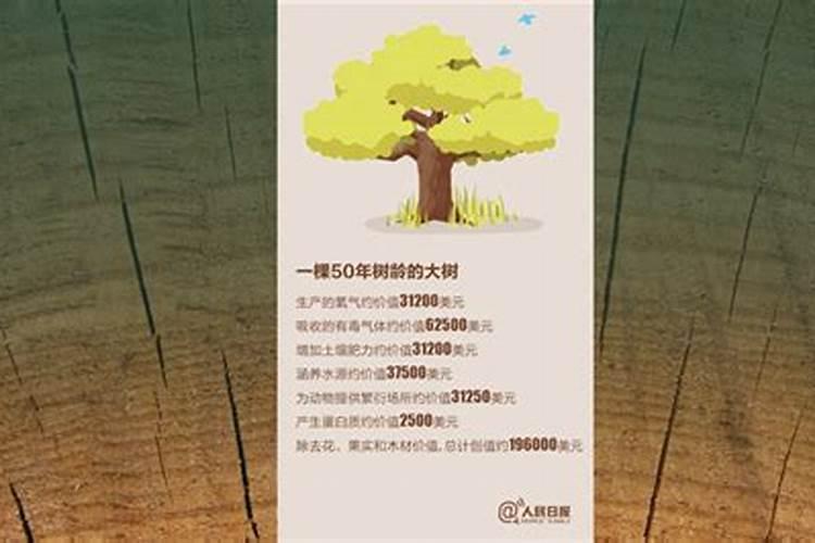 一棵树上多少复合肥？