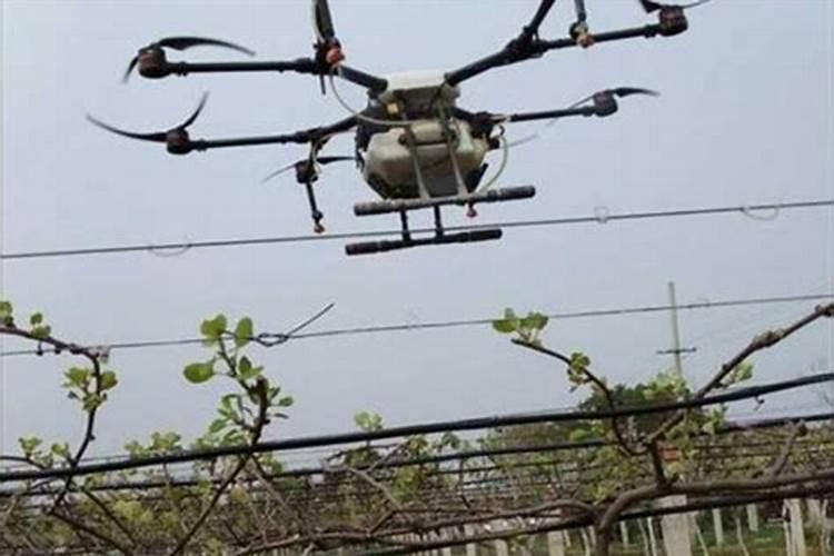 树苗施什么肥料什么时间施肥最好