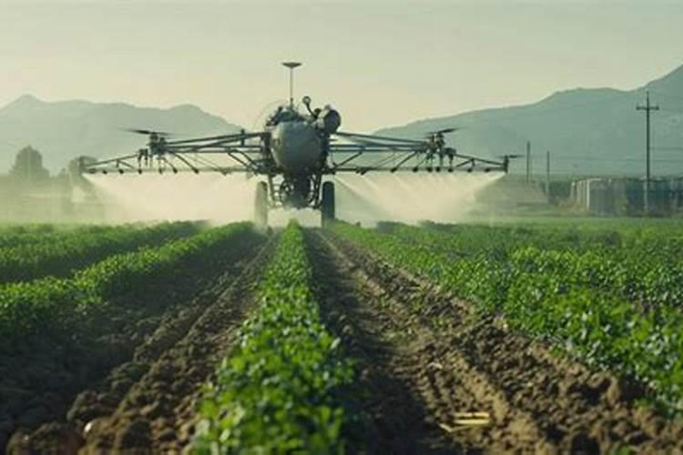 小麦防冻专用叶面肥 小麦防冻措施