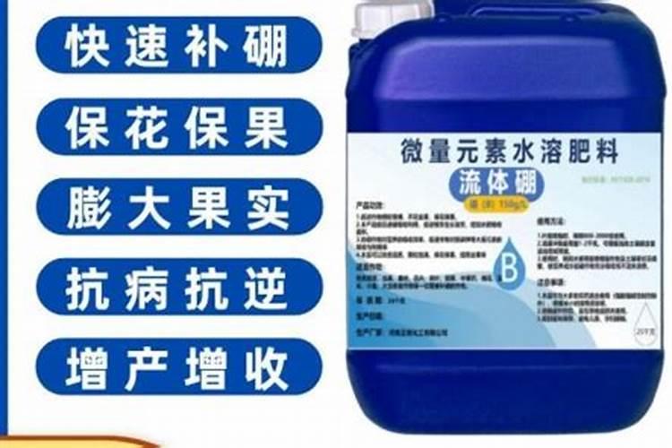 板栗发芽怎么种植图片说明