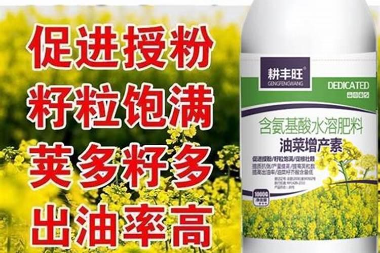 油菜叶面肥什么时间施最好花卉百科