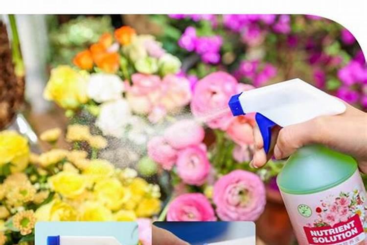 栀子花鲜切花怎么水养简短介绍