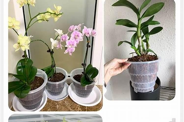 酸雨的形成原因化学方程式