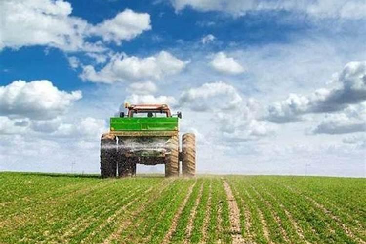 玉米的锌肥什么时候用堉产潜力大