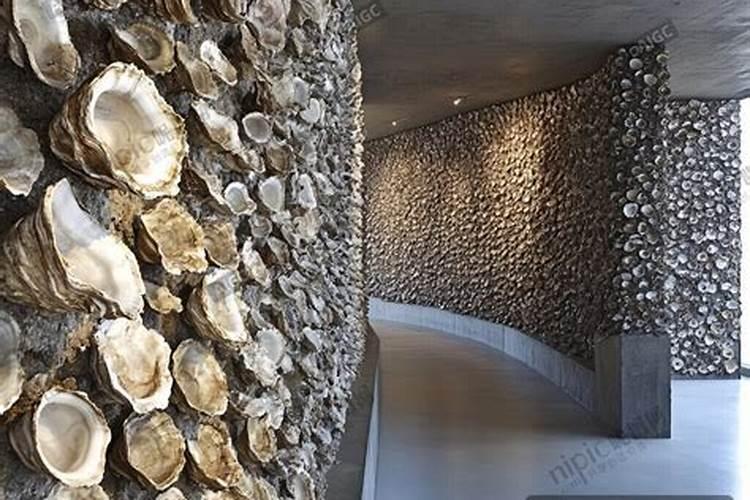 生蚝壳能不能放入月季花？