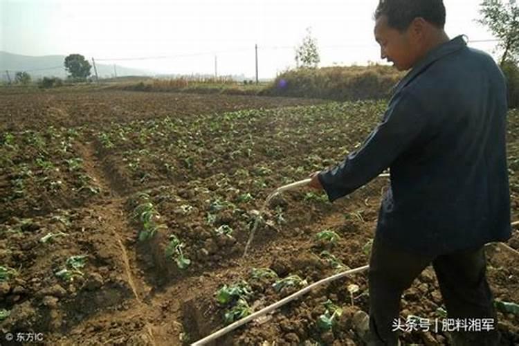 蘑菇种植都需要那些原料
