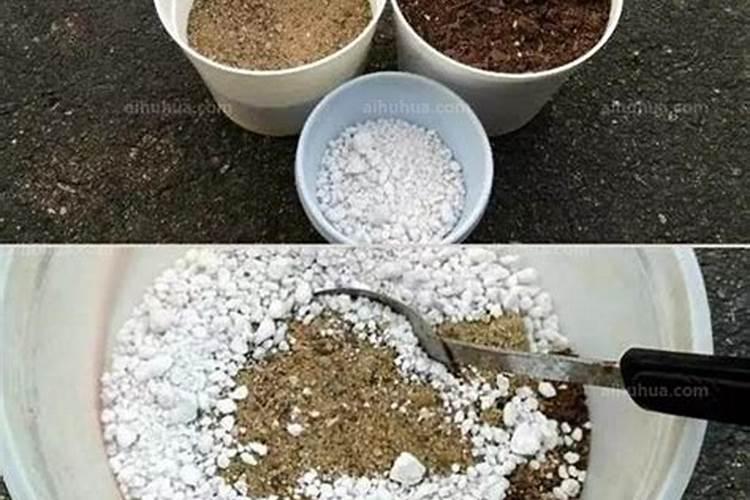 怎样补硼？为什么土施硼肥是不宜？