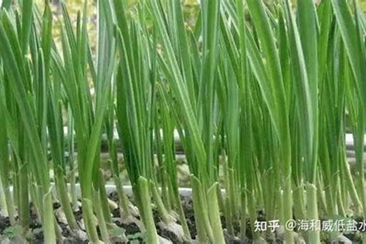 兰州天泽物华生物科技有限公司怎么样？