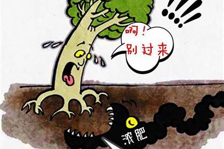 葡萄施肥第一大忌
